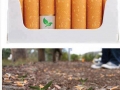Cigarettes with seeds
