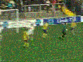 Ninjas on the field