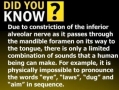 Fun Fact