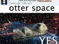 Otter space!