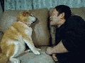 Stop that, human