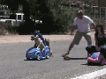 Dog vs Human