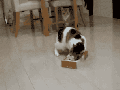 If it fits I.. wait stop!