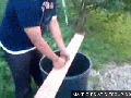 Karate master