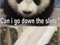 Panda slide