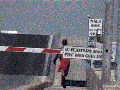 The Darwin award goes to