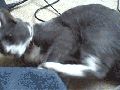 Leg, stop kicking me!
