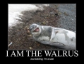 I am the walrus