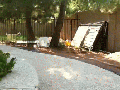 Parkour goat