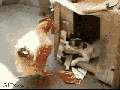 Let's have some privacy