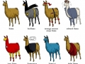 Hell yeah, Llamas!