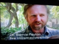 My Dream Job