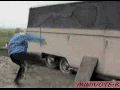 Come at me bro! Oh f**k!
