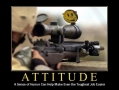 Attitude