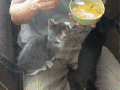 Let me taste that!