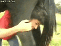 Peekaboo, I see you!