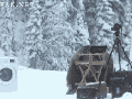 Bear and washing machine