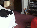 At last, the red dot is mine!
