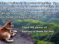 Power of barking