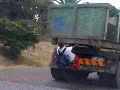 Hitching a ride to school