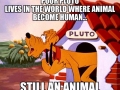 Poor Pluto