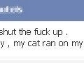 Silly Cat