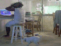 B*tch, feed me!