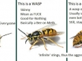 Just for your information
