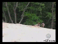 Pull harder!