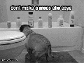 Pug's Life