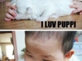 I love puppy