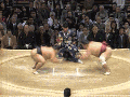 And, fight!
