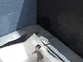 Boing boing