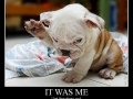 It was me