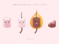 Marshmallow life cycle