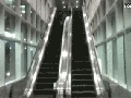 Escalator fun
