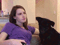 Overly Attached Dog