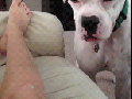 Don't worry, I won't bite