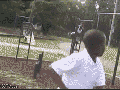 Fun day at the park