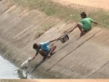 Humanity
