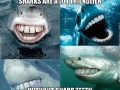 Sharks without sharp teeth