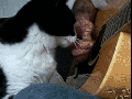 Gimme some too