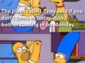 Homer, the plant called..