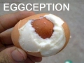 Eggception