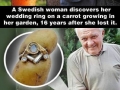 Good Guy Nature
