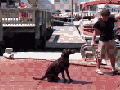 Slight miscalculation