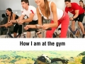 I went to the gym once