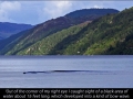 Loch Ness Monster