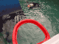 Sea Otter Hoop Dreams