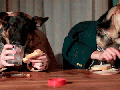 Drunk eating